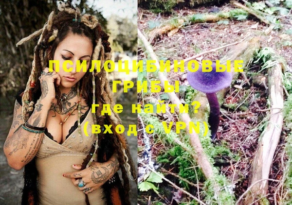 стаф Белоозёрский