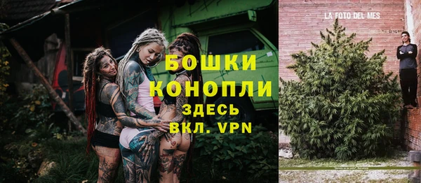 не бодяженный Белокуриха