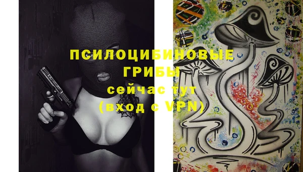 не бодяженный Белокуриха